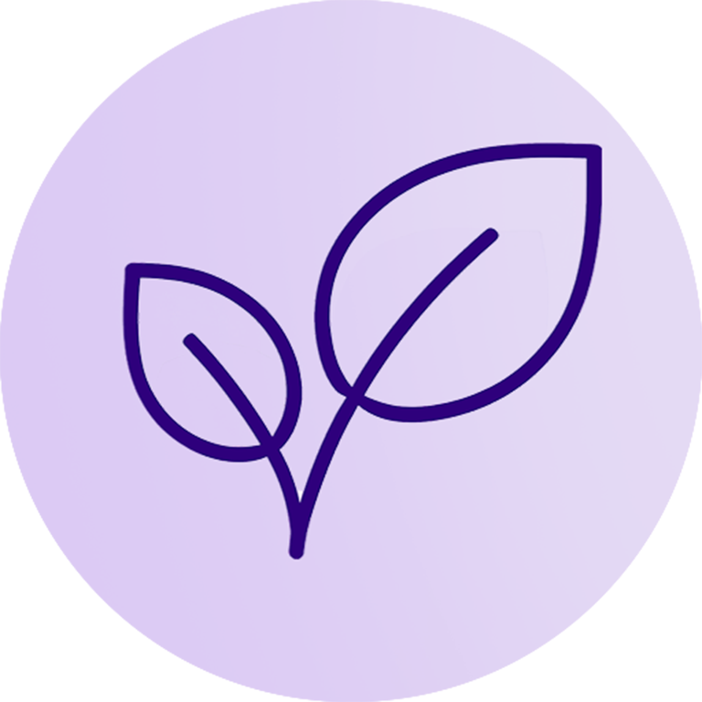 Maker Cosméticos